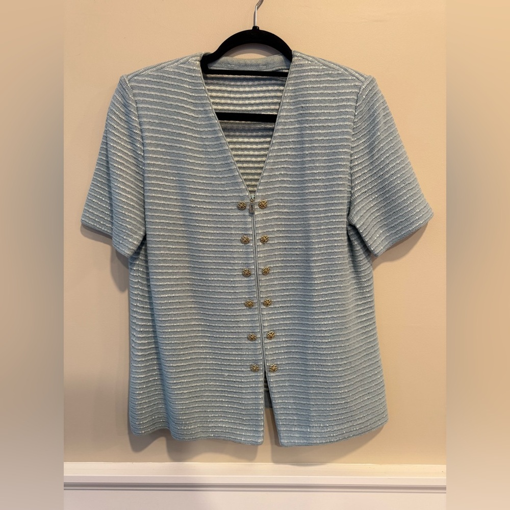 Elegant light Blue sweater sheer short sleeve top